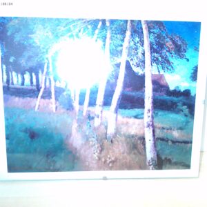 Panorama Fotografie einer Auenlandschaft