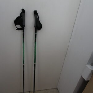 Ein paar Walkingstöcke