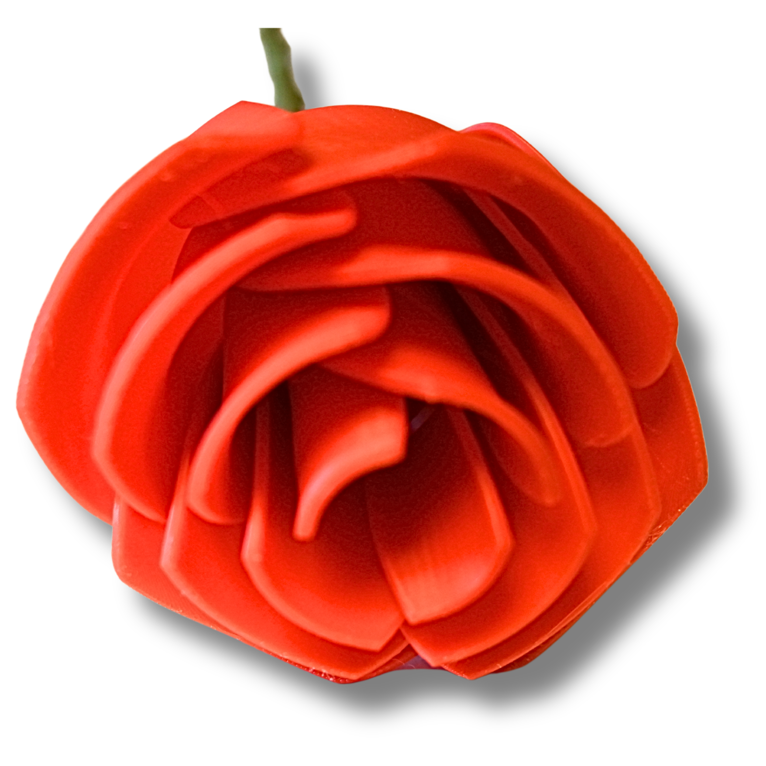 Rose-3D-Druck. Rot, Groß mit Dornenstiel – Bild 3