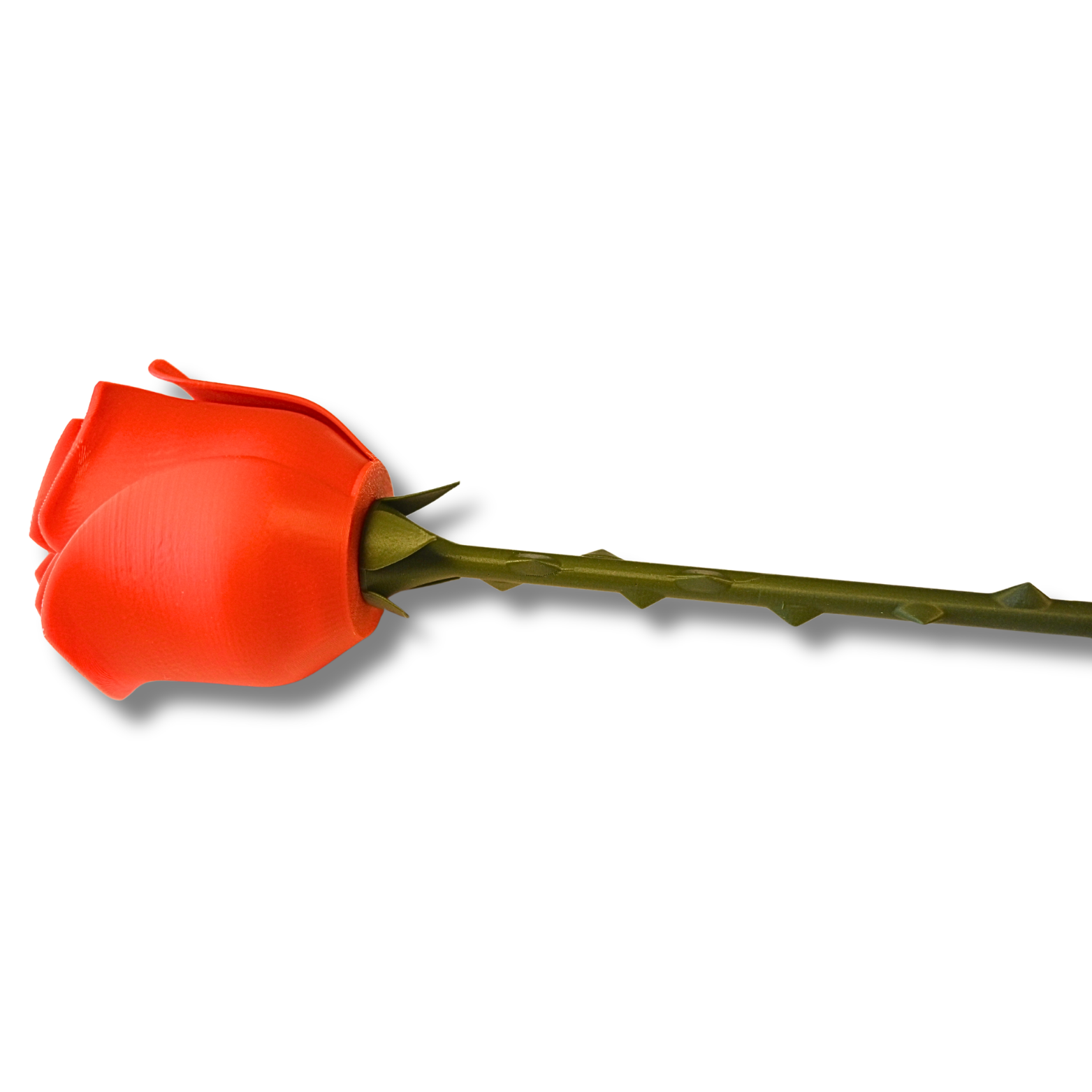 Rose-3D-Druck. Rot, Groß mit Dornenstiel – Bild 4