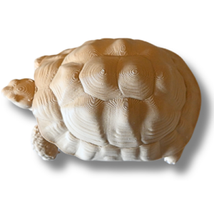 3D gedruckte Schildkröte in verschiedenen Farben